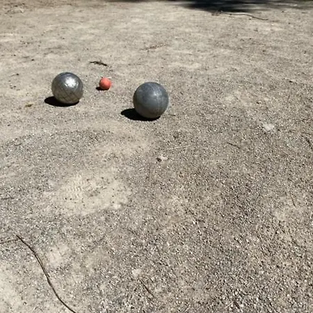 Notre Dame Des Anges *