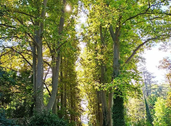 Notre Dame Des Anges * Lurs