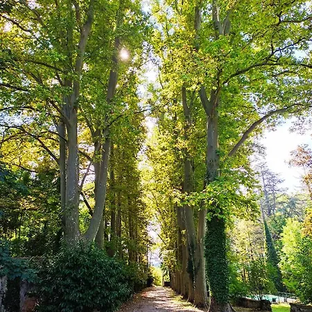 Notre Dame Des Anges * Lurs